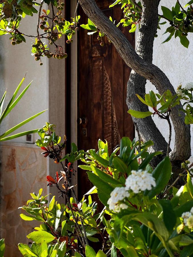 Casa Tesoro Villa Cisternino Exteriör bild